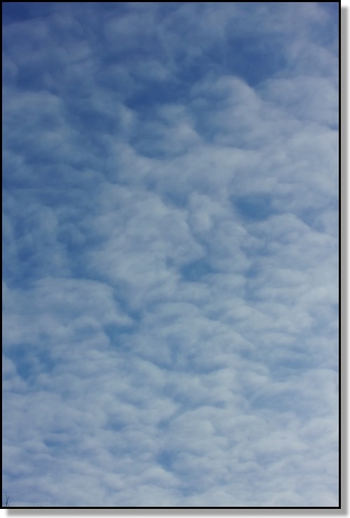 Sky, Clouds, Fluffy, White, Blue