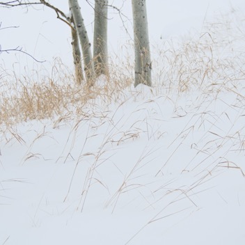 Snowy Miniscape.jpeg