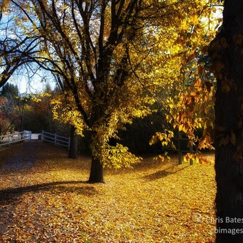 Confederation Park Red Deer.jpg